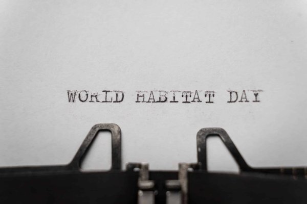 Comment créer un point d'eau sûr pour la faune sauvage dans son jardin ?