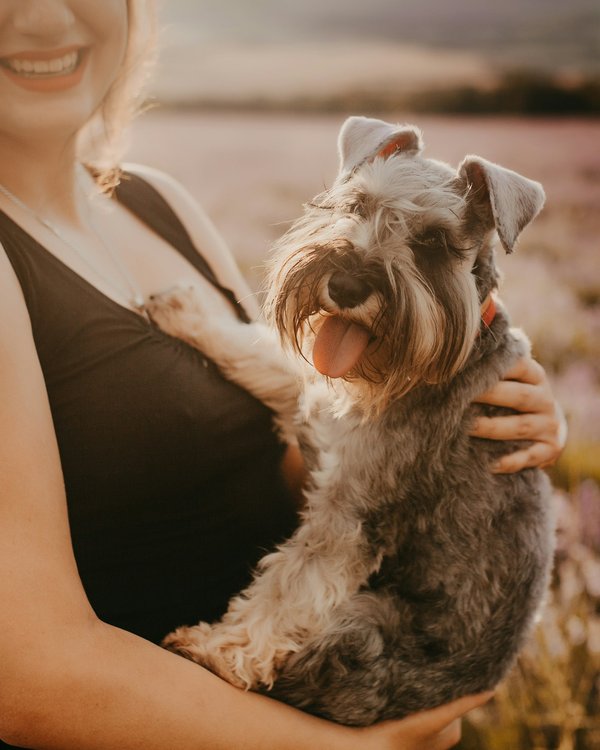 Actualités des chiens : adoptez un compagnon responsable !
